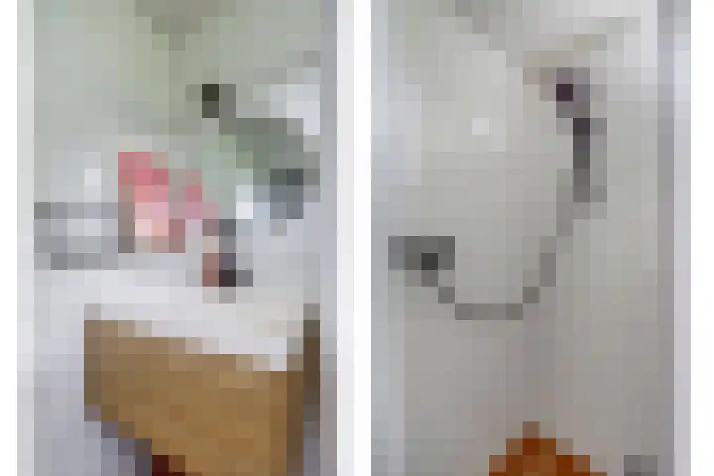 Geertruidaweg 88 Scherpenisse thumbnail 17