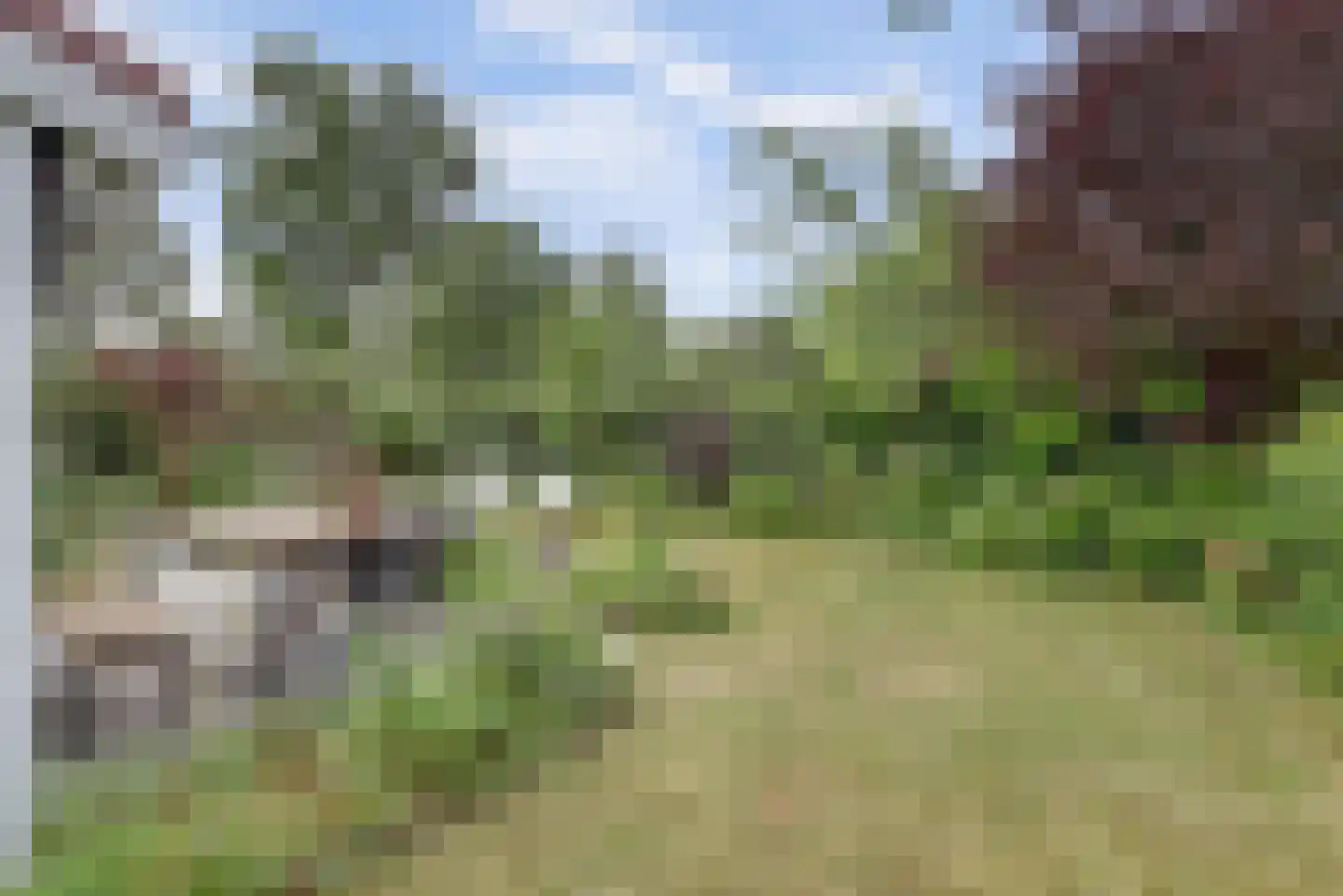 Geertruidaweg 88 Scherpenisse thumbnail 19