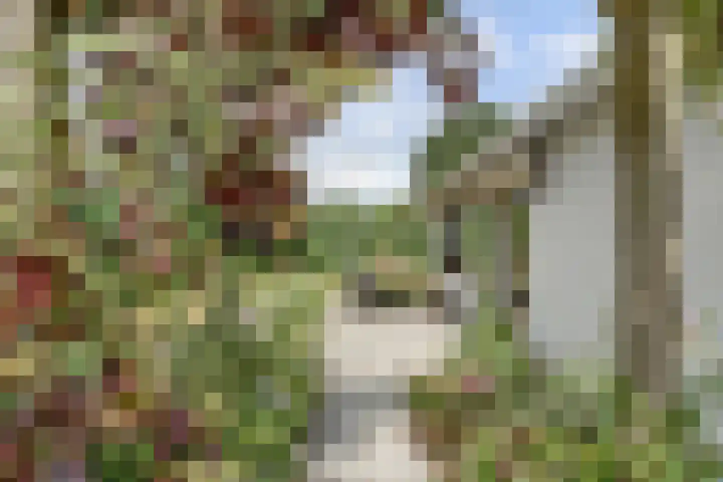 Geertruidaweg 88 Scherpenisse thumbnail 20