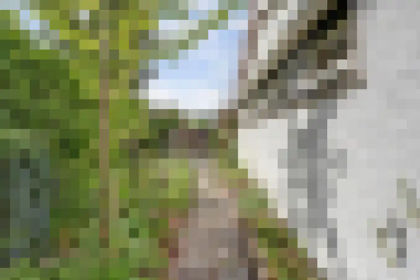 Geertruidaweg 88 Scherpenisse thumbnail 21
