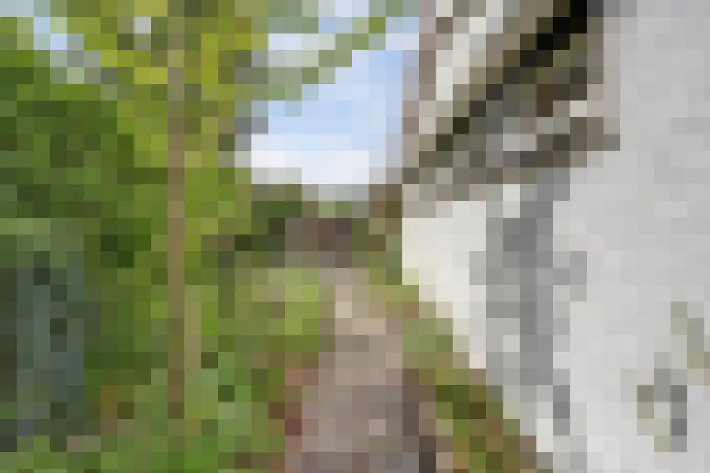 Geertruidaweg 88 Scherpenisse thumbnail 21