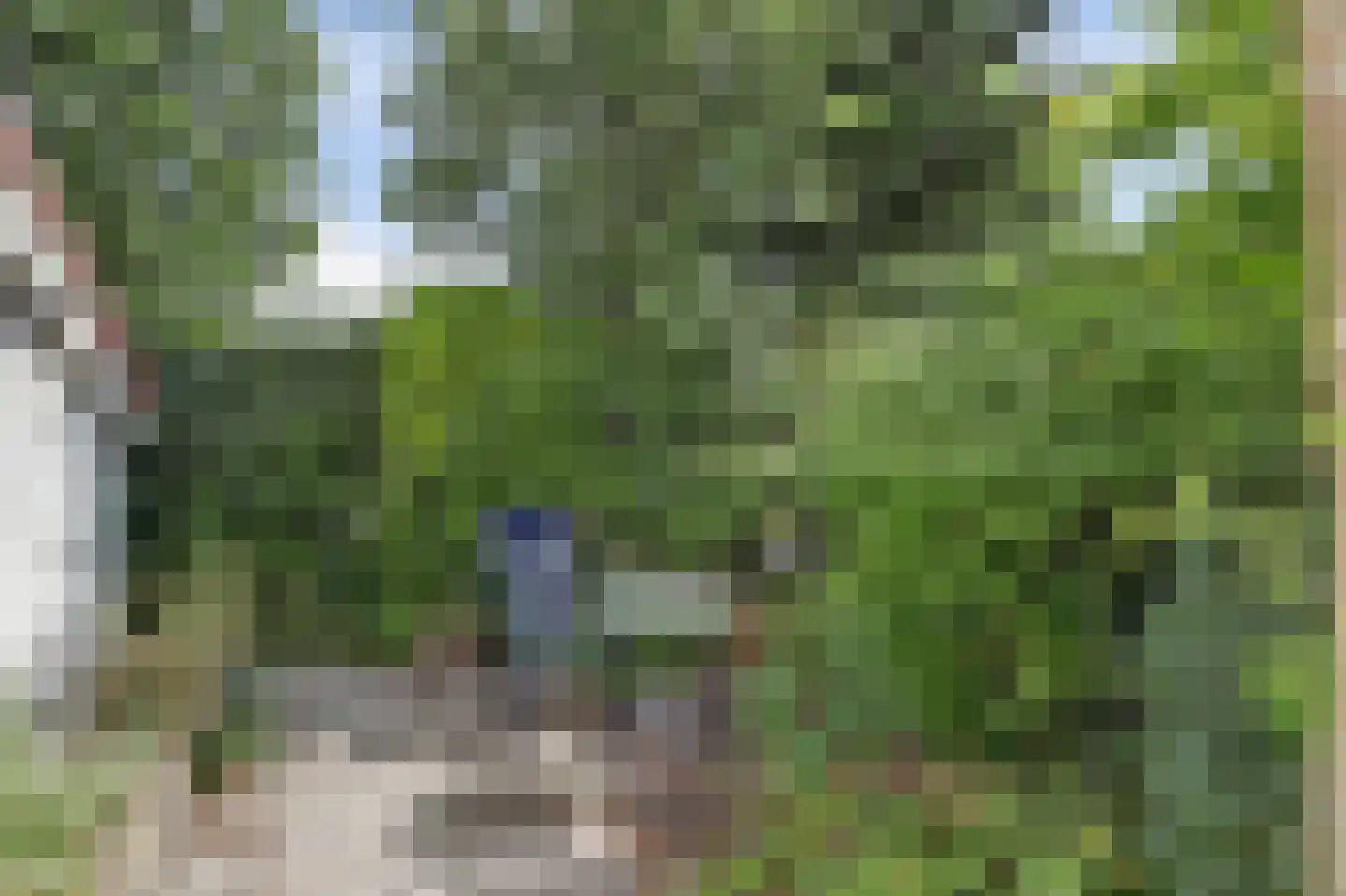 Geertruidaweg 88 Scherpenisse thumbnail 22