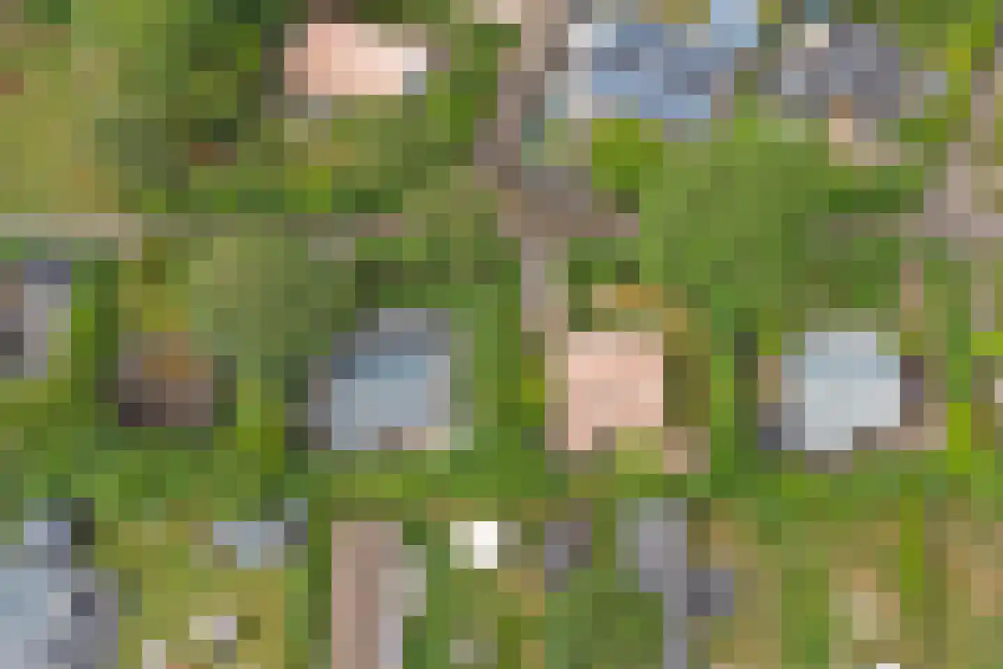 Geertruidaweg 88 Scherpenisse thumbnail 24