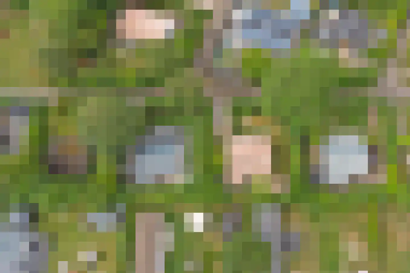 Geertruidaweg 88 Scherpenisse thumbnail 24