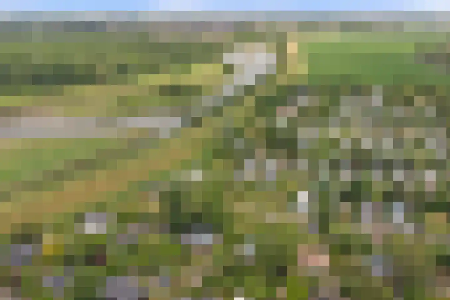 Geertruidaweg 88 Scherpenisse thumbnail 25