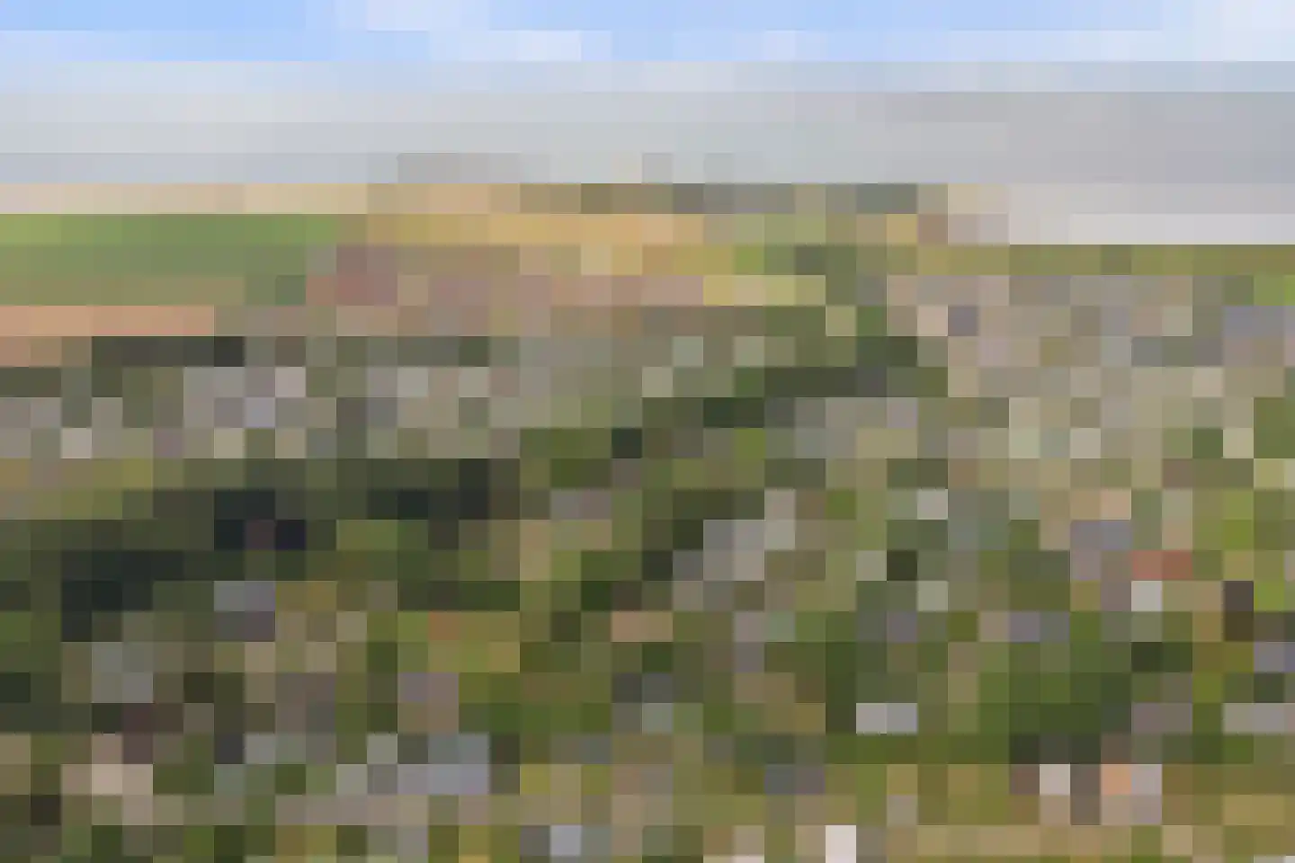 Geertruidaweg 88 Scherpenisse thumbnail 26