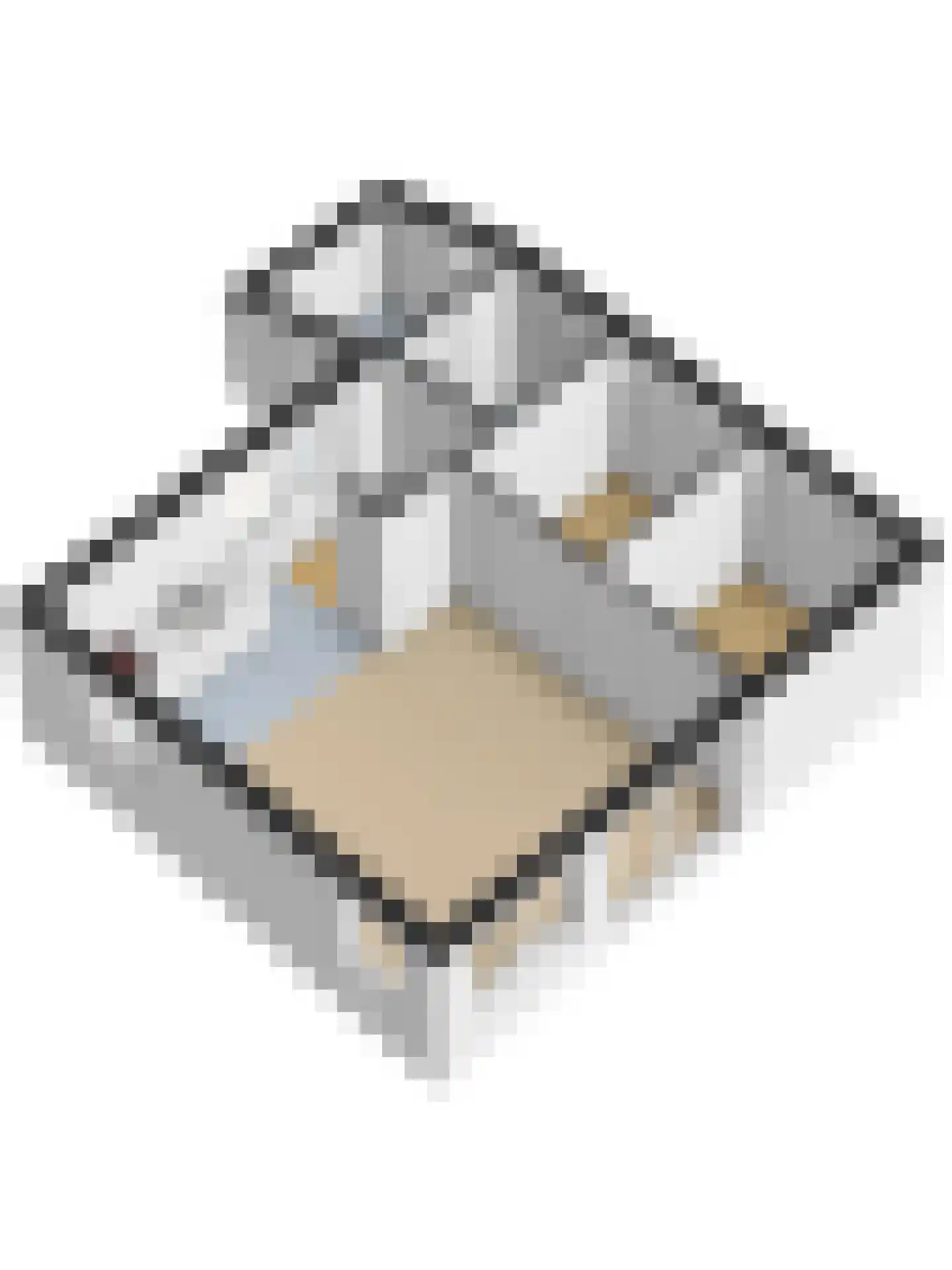 Geertruidaweg 88 Scherpenisse thumbnail 30