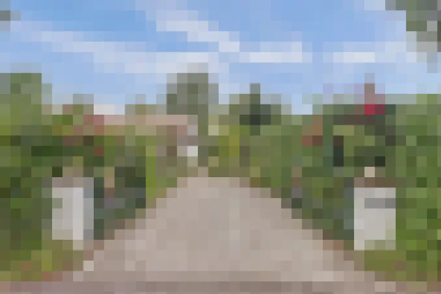 Geertruidaweg 88 Scherpenisse thumbnail 5