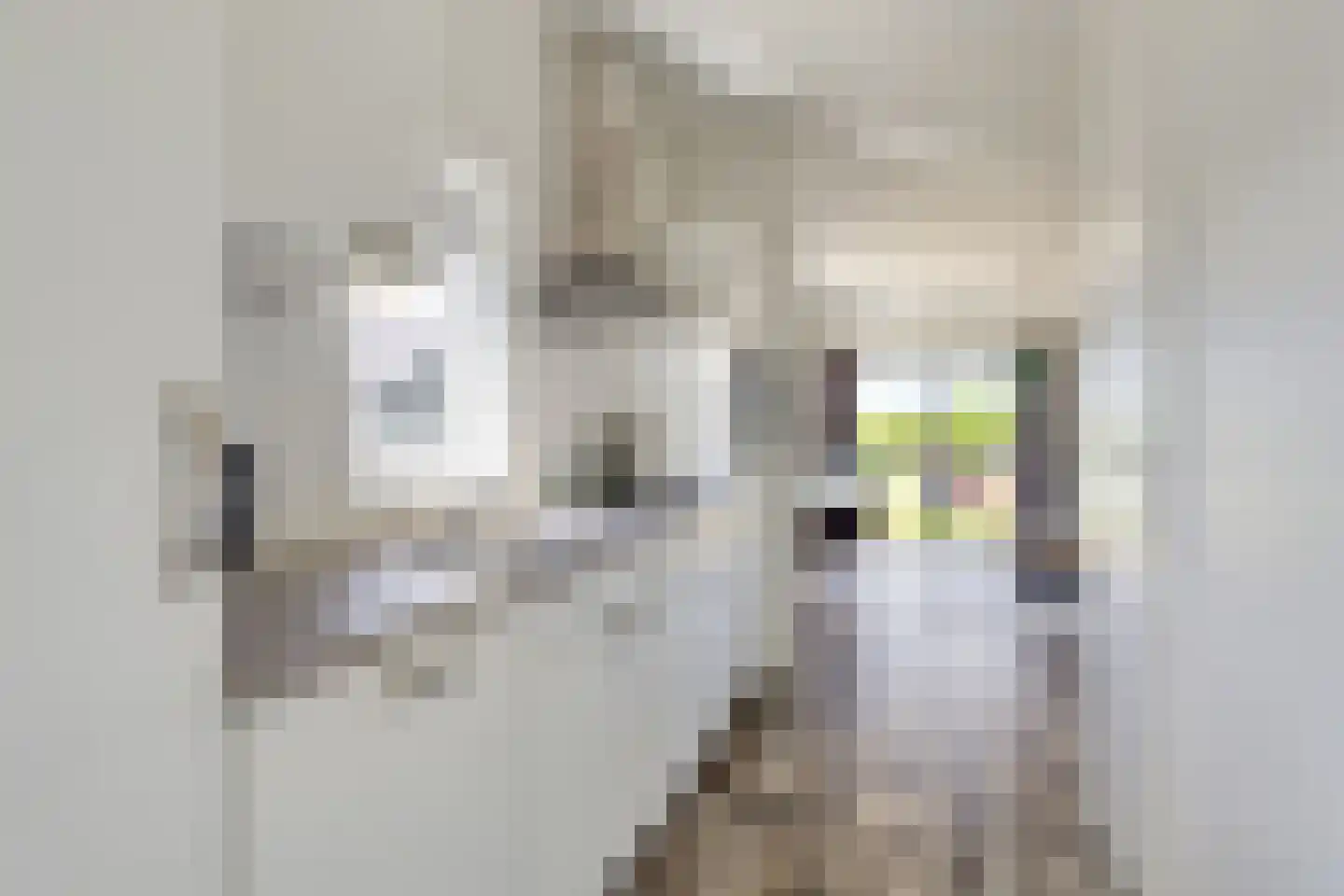 Geertruidaweg 9 Scherpenisse thumbnail 15