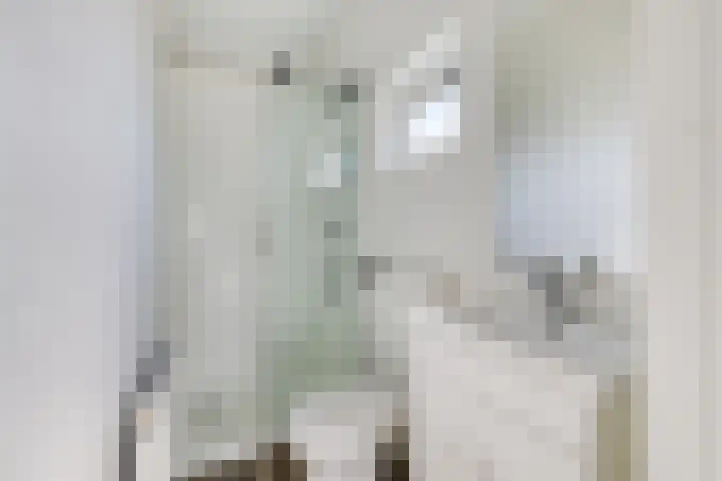 Geertruidaweg 9 Scherpenisse thumbnail 18
