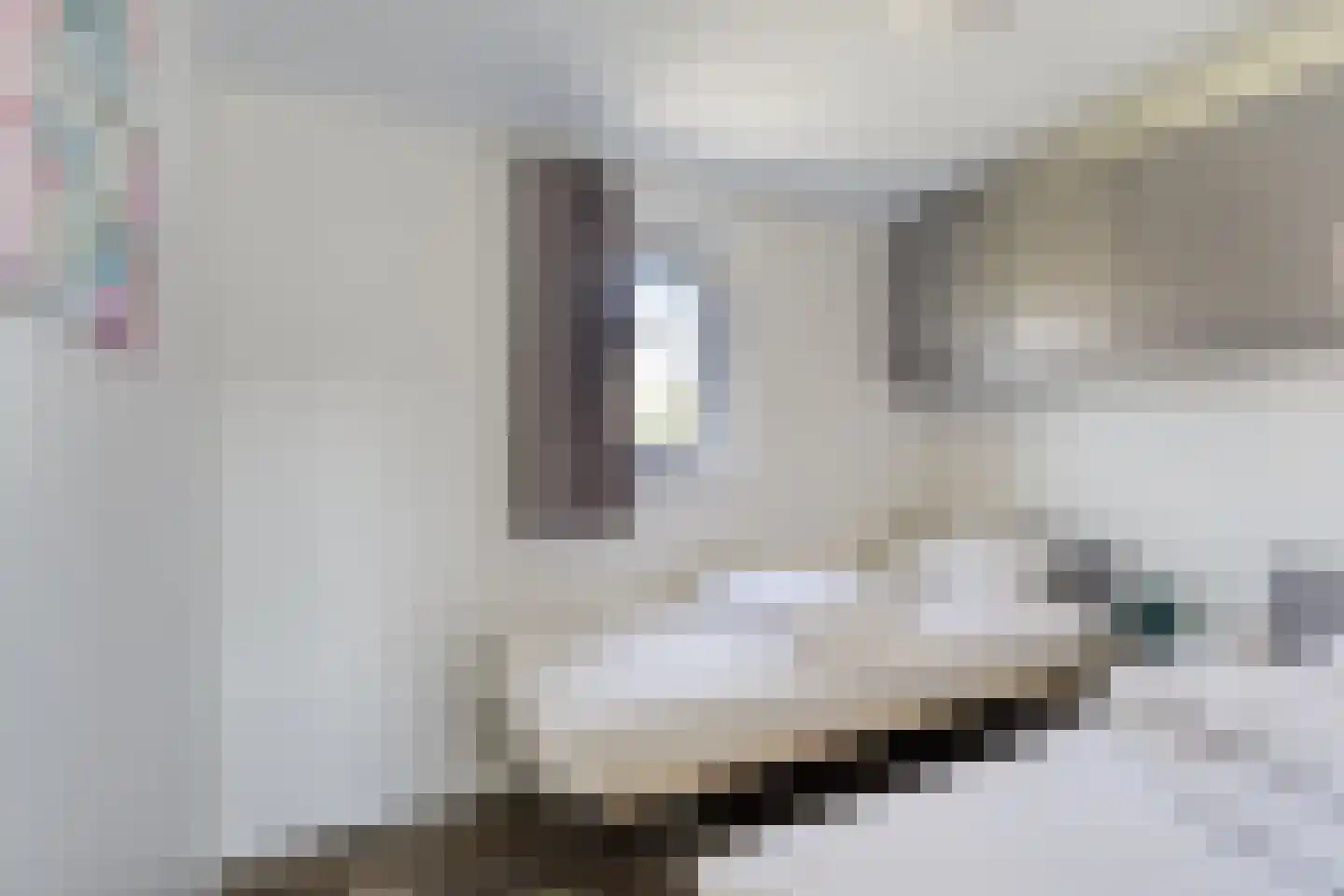 Geertruidaweg 9 Scherpenisse thumbnail 20