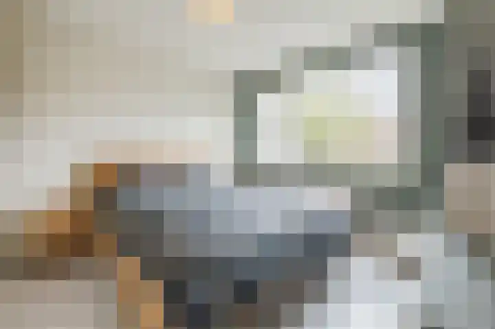 Geertruidenbergpad 17 Arnhem thumbnail 18