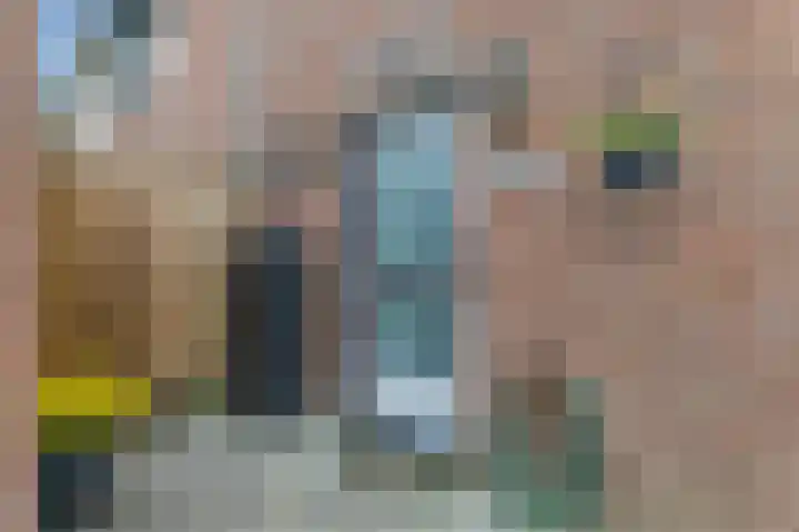 Geertruidenbergpad 17 Arnhem thumbnail 4