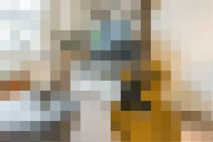 Geertruidenbergpad 17 Arnhem thumbnail 8