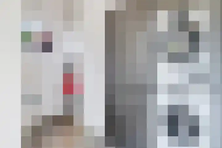 Geertruidenbergstraat 2 Eindhoven thumbnail 23