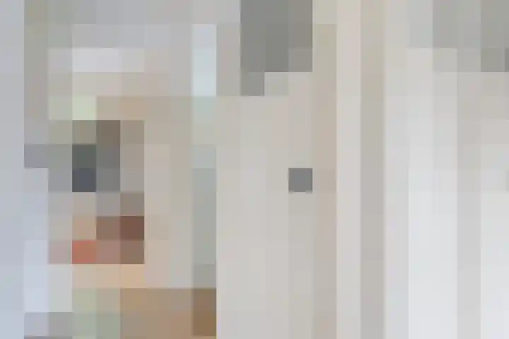 Geertruidenbergstraat 2 Eindhoven thumbnail 26