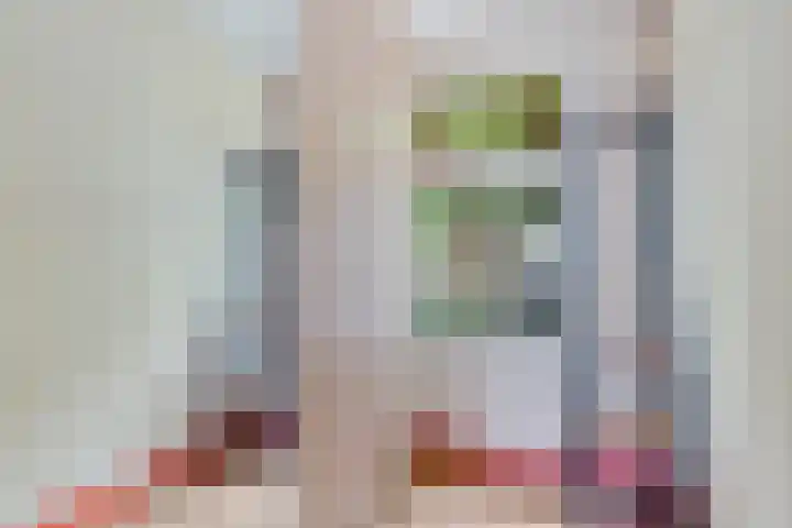 Geertruidenbergstraat 2 Eindhoven thumbnail 36