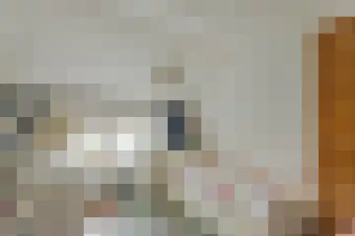 Geertruidenbergstraat 69 Rotterdam thumbnail 4