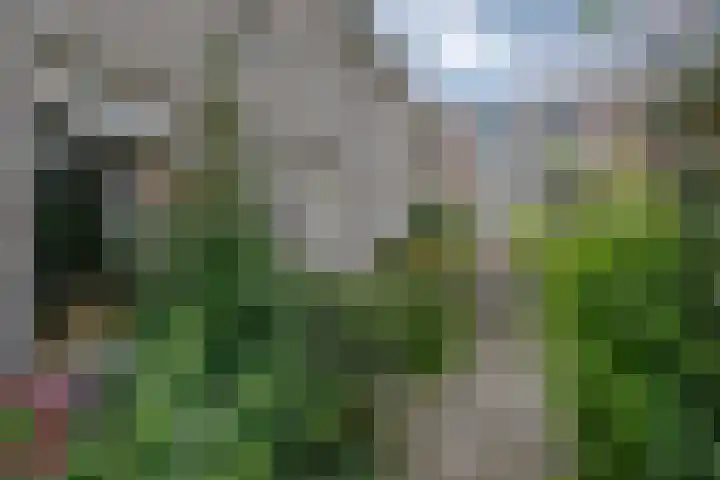 Geertruidenbergstraat 69 Rotterdam thumbnail 6