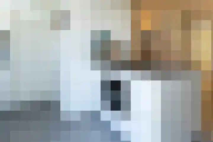 Geertsemastraat 11 B Rotterdam thumbnail 8