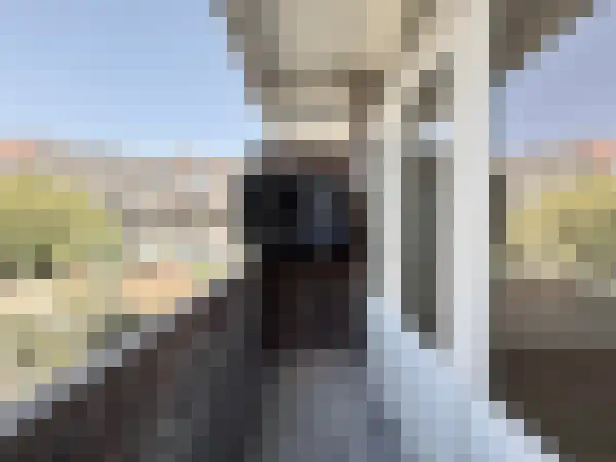 Geertsemastraat 13 Rotterdam thumbnail 5