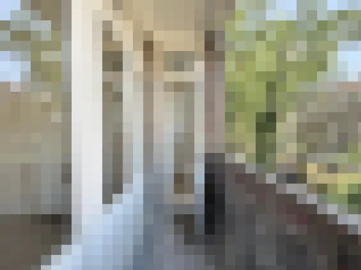 Geertsemastraat 13 Rotterdam thumbnail 6