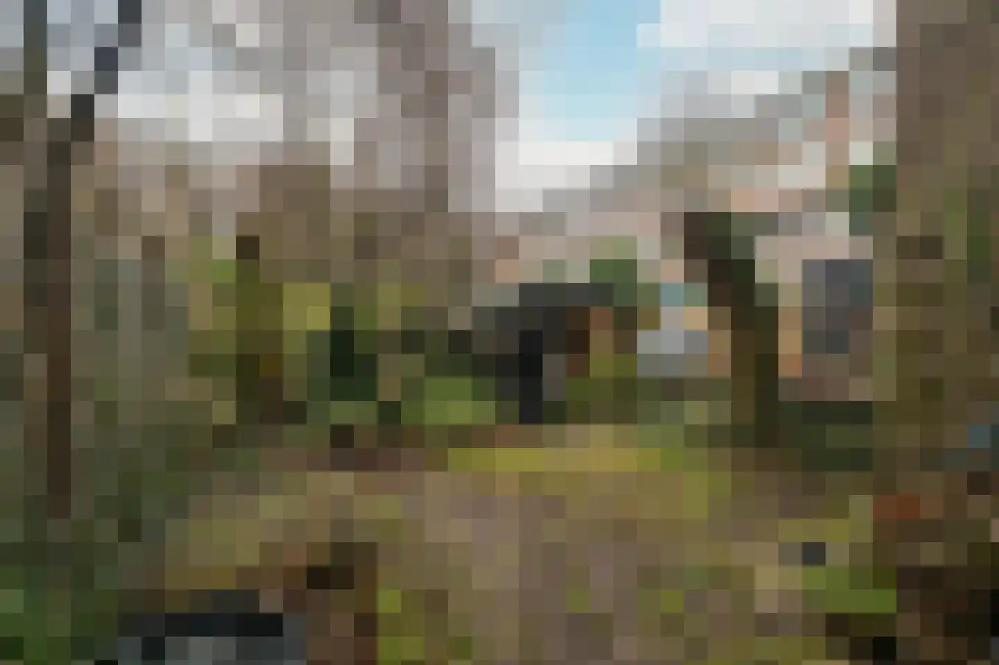 Geertsemastraat 6 A Rotterdam thumbnail 13