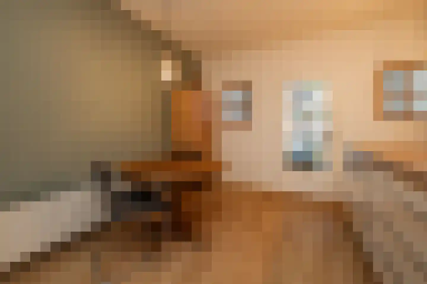 Geertsemastraat 6 A Rotterdam thumbnail 7