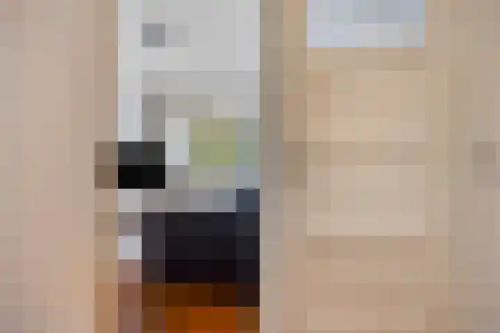 Geertsemastraat 8 B 01 Rotterdam thumbnail 14