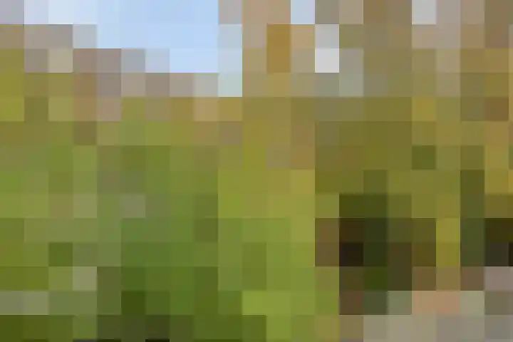 Geertsemastraat 8 B 01 Rotterdam thumbnail 4