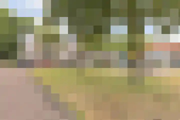 Geertshof 15 Breda thumbnail 10