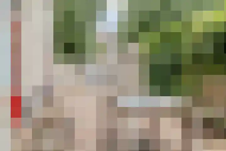Geertshof 15 Breda thumbnail 51