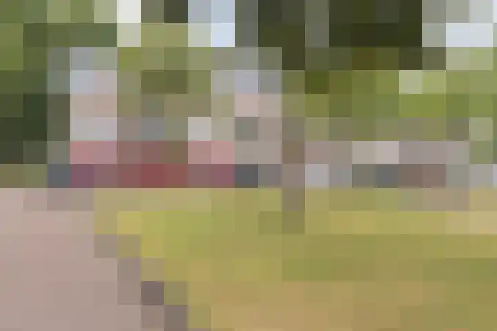 Geertshof 15 Breda thumbnail 56