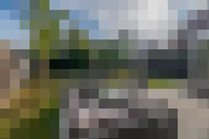 Geervalk 18 Valkenswaard thumbnail 32