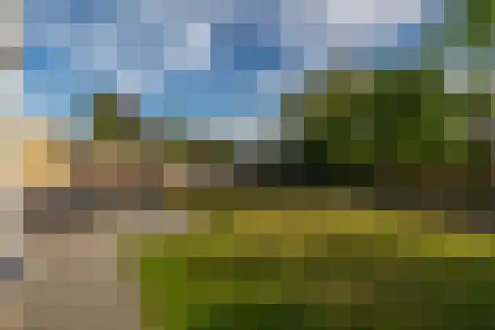 Geervalk 18 Valkenswaard thumbnail 33