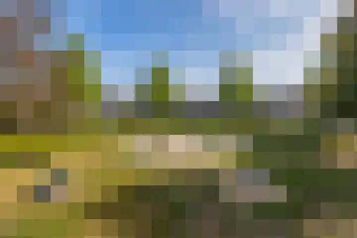Geervalk 18 Valkenswaard thumbnail 42