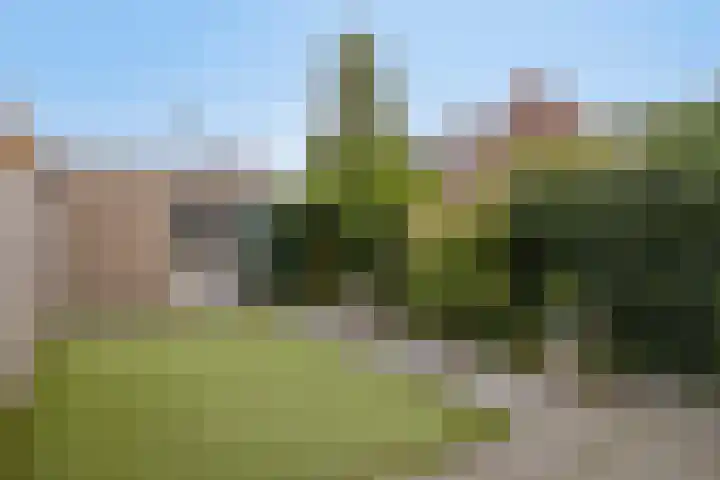 Geerveld 6 Teteringen thumbnail 18