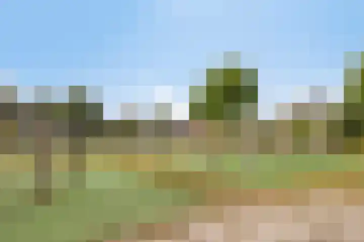 Geerveld 6 Teteringen thumbnail 36