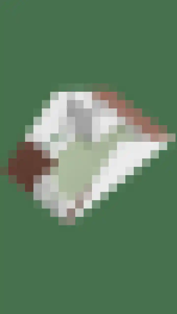Geerveld 6 Teteringen thumbnail 43