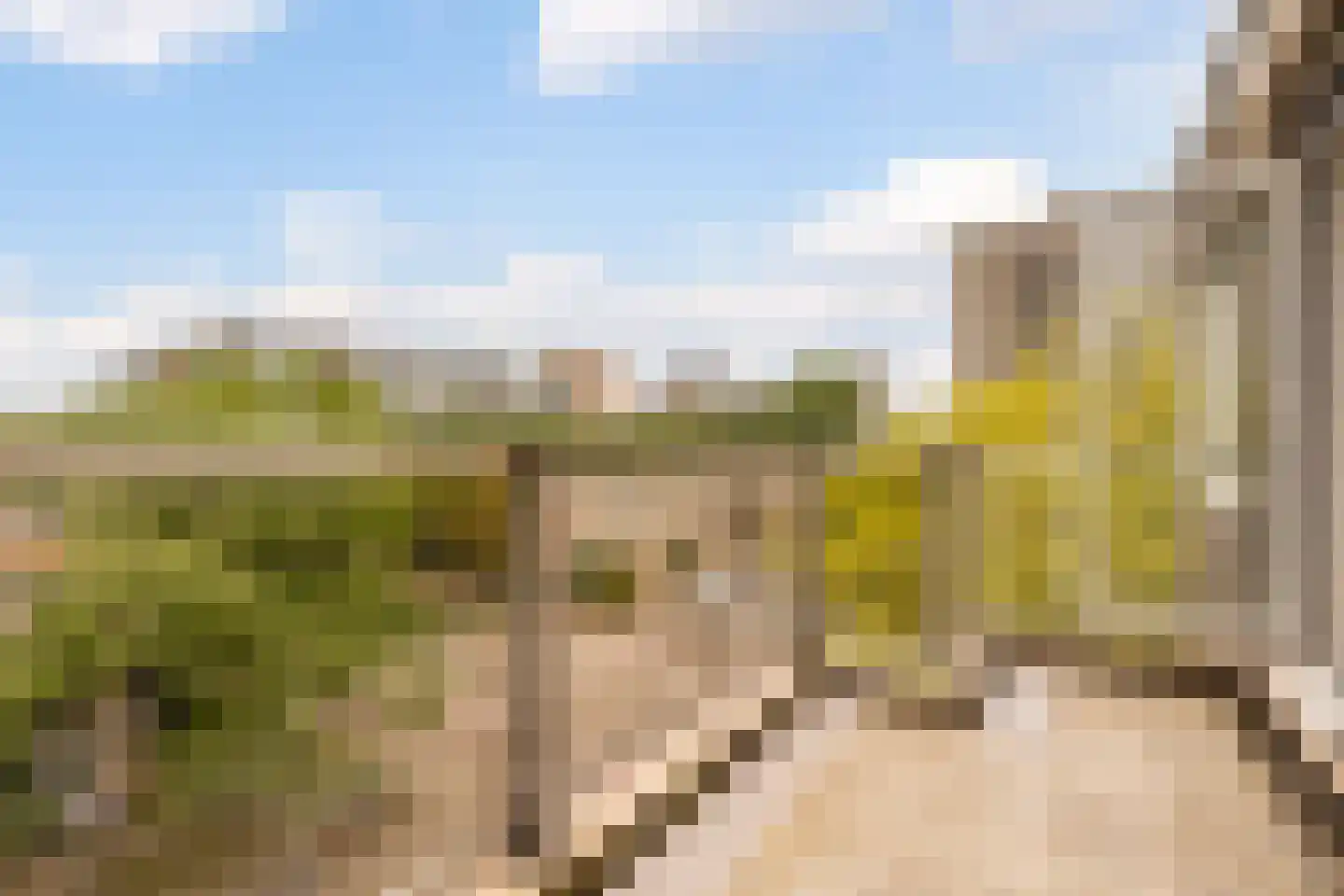 Geervliet 21 Amsterdam thumbnail 4