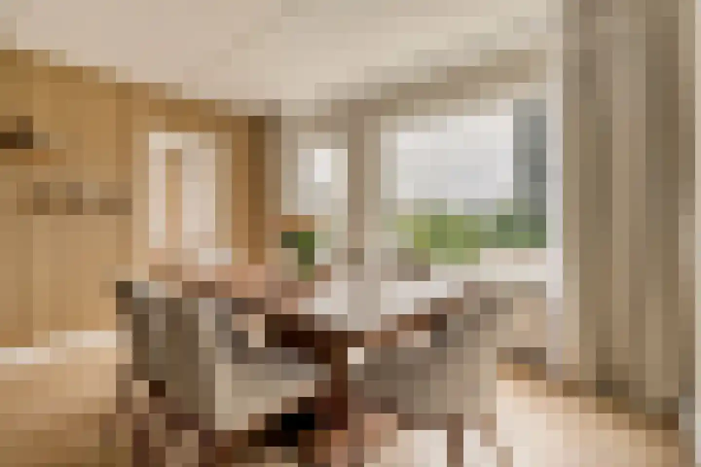 Geervliet 21 Amsterdam thumbnail 8