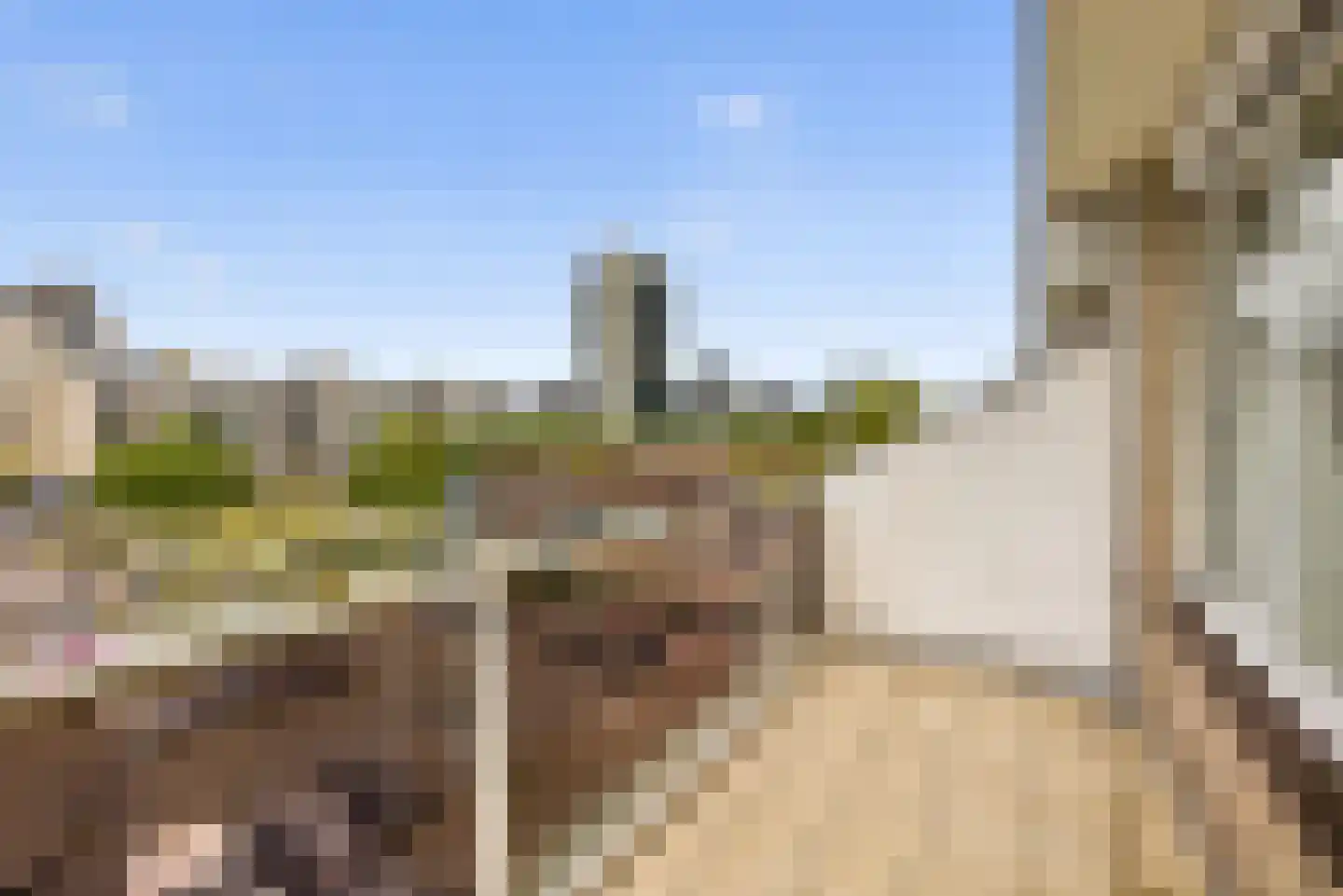 Geervliet 217 Amsterdam thumbnail 18