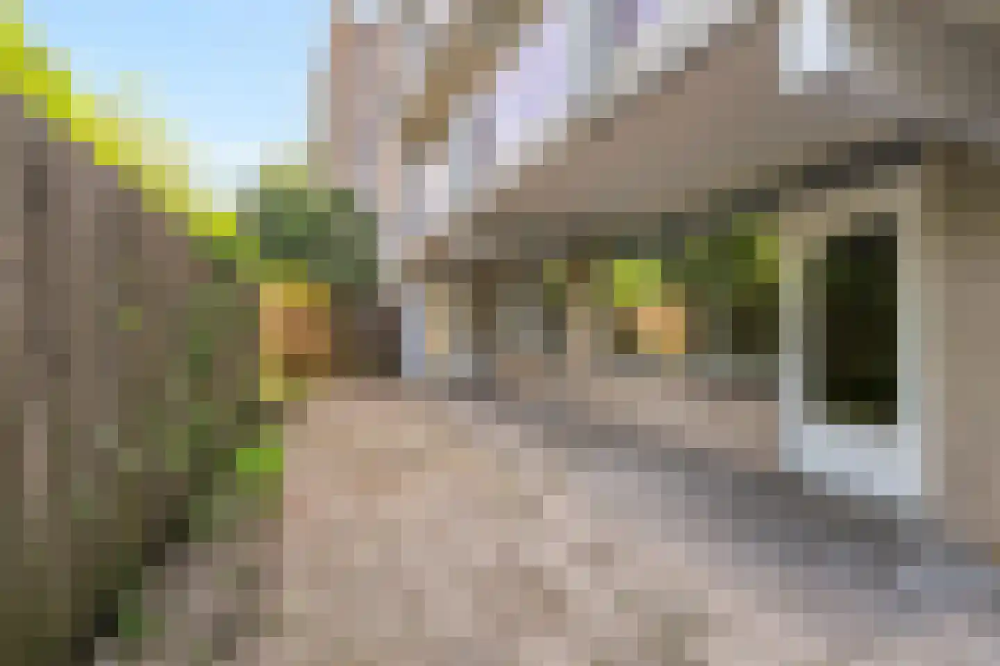 Geervliet 231 Amsterdam thumbnail 12