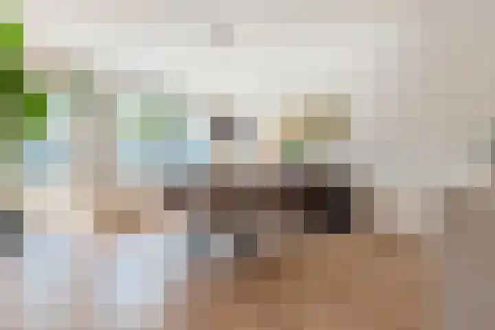 Geervliet 29 Amsterdam thumbnail 8