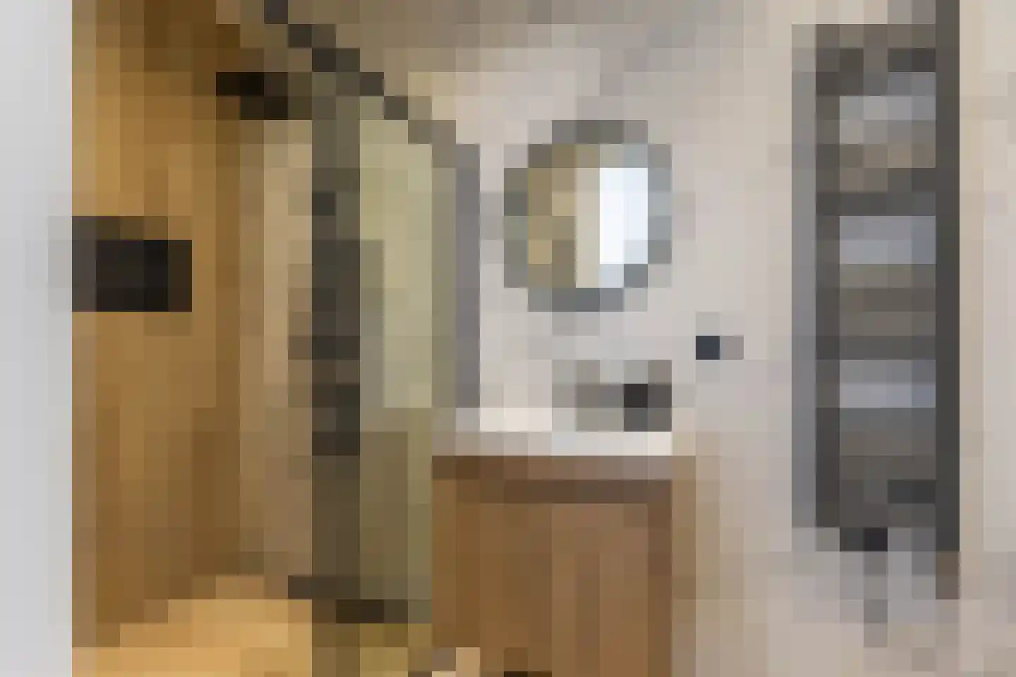 Geervlietsestraat 1 A Schiedam thumbnail 4