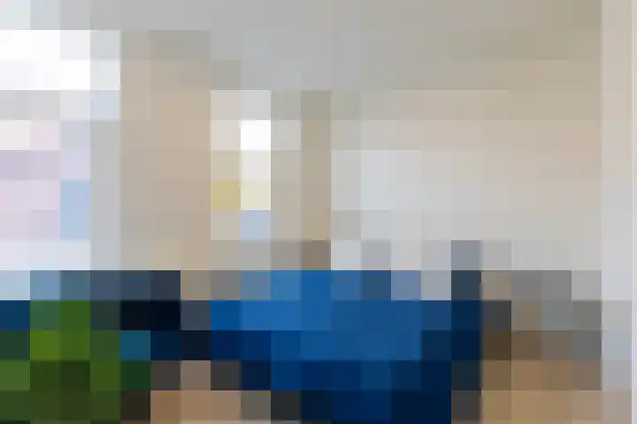 Geervlietsestraat 10 A 1 Schiedam thumbnail 11