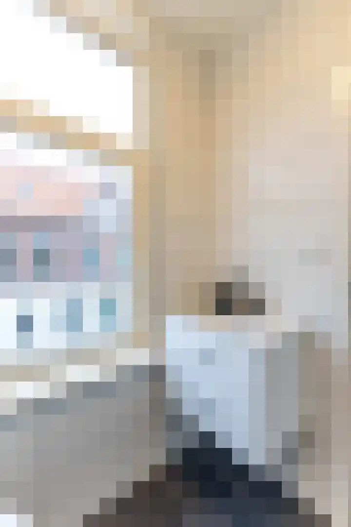 Geervlietsestraat 10 A 1 Schiedam thumbnail 16