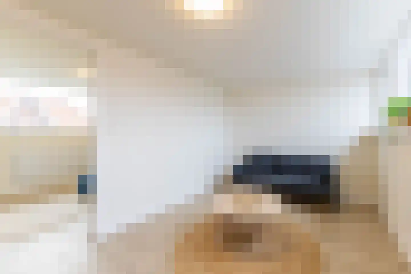 Geervlietsestraat 10 A 1 Schiedam thumbnail 7