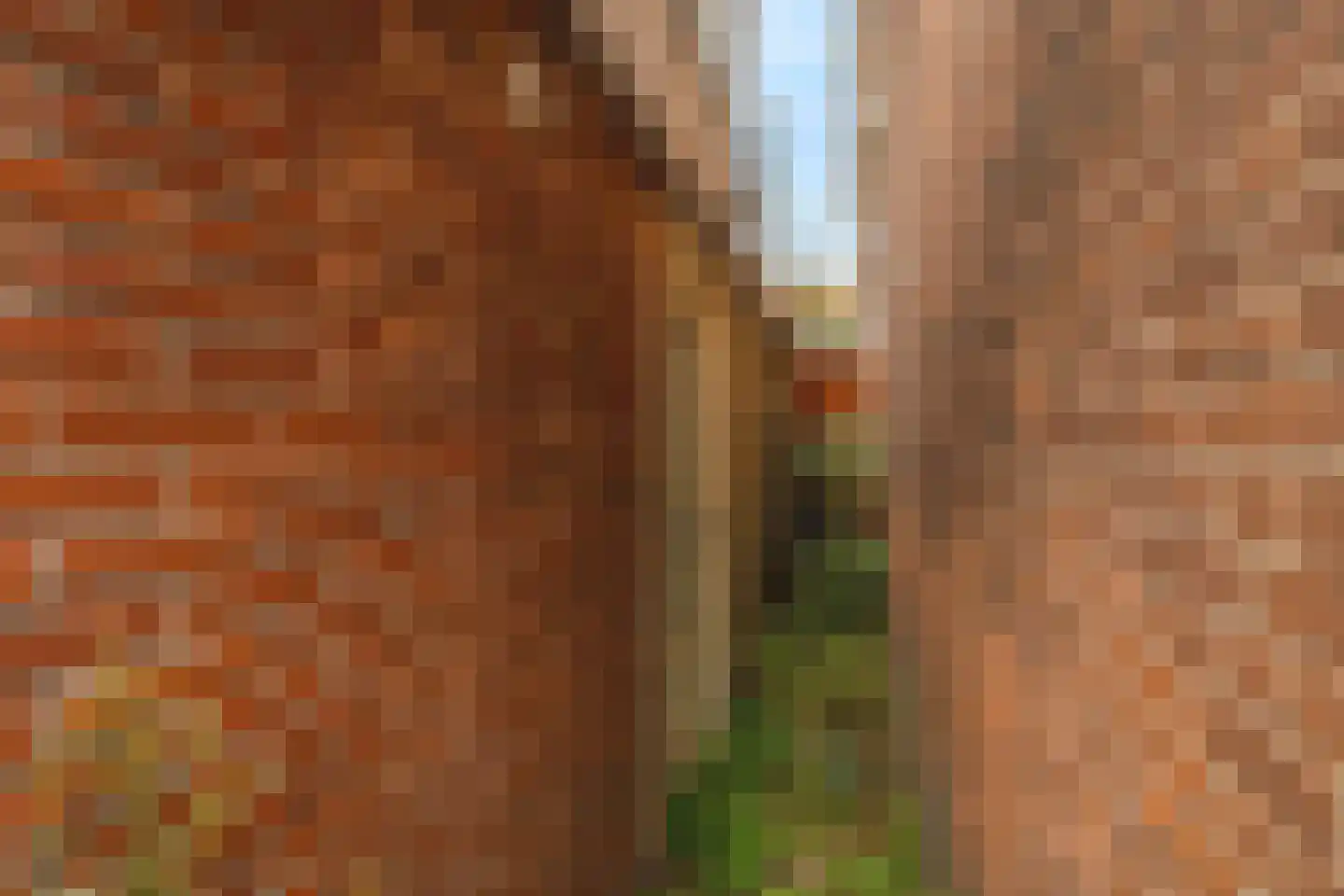 Geervlietsestraat 13 Schiedam thumbnail 33