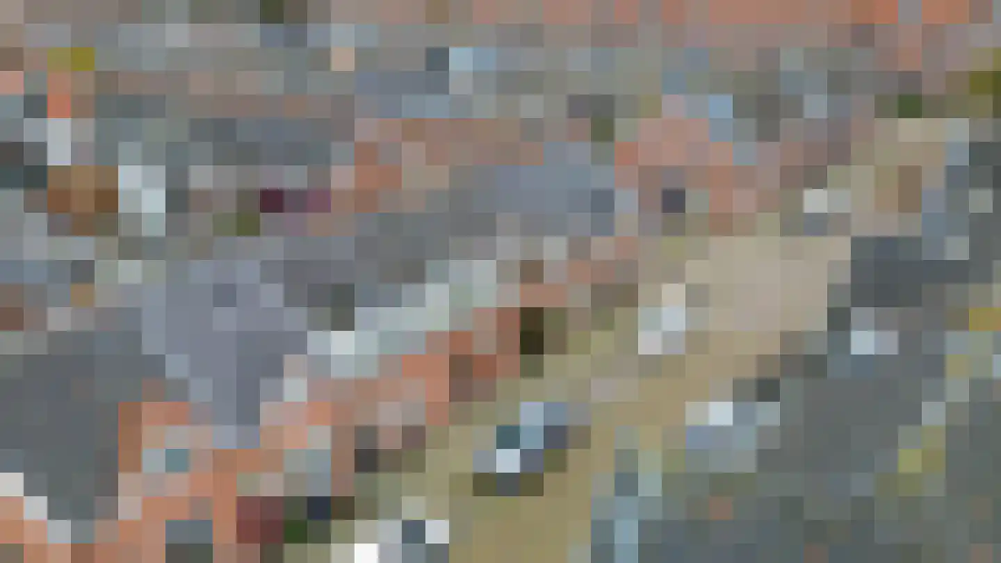 Geervlietsestraat 13 Schiedam thumbnail 36